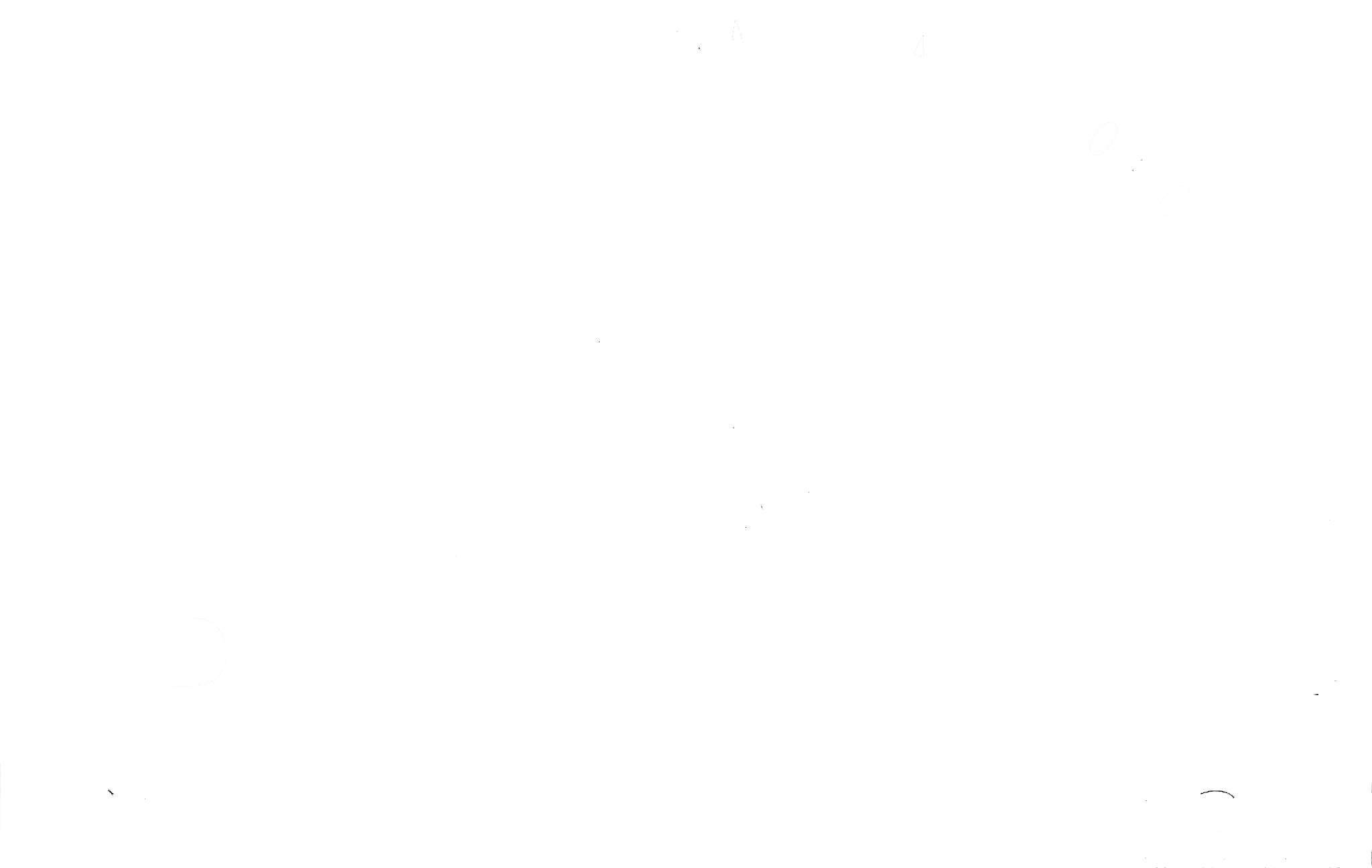 Holzbaumeister Pieber Logo